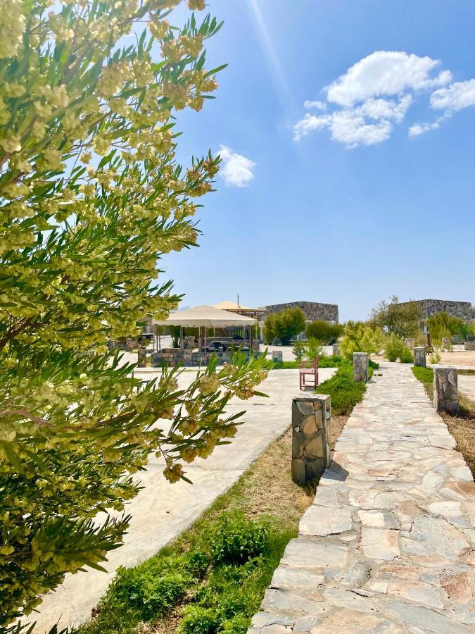 Jebel Shams Resort منتجع جبل شمس Dar Sawda Zewnętrze zdjęcie