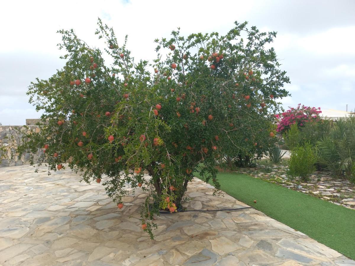 Jebel Shams Resort منتجع جبل شمس Dar Sawda Zewnętrze zdjęcie